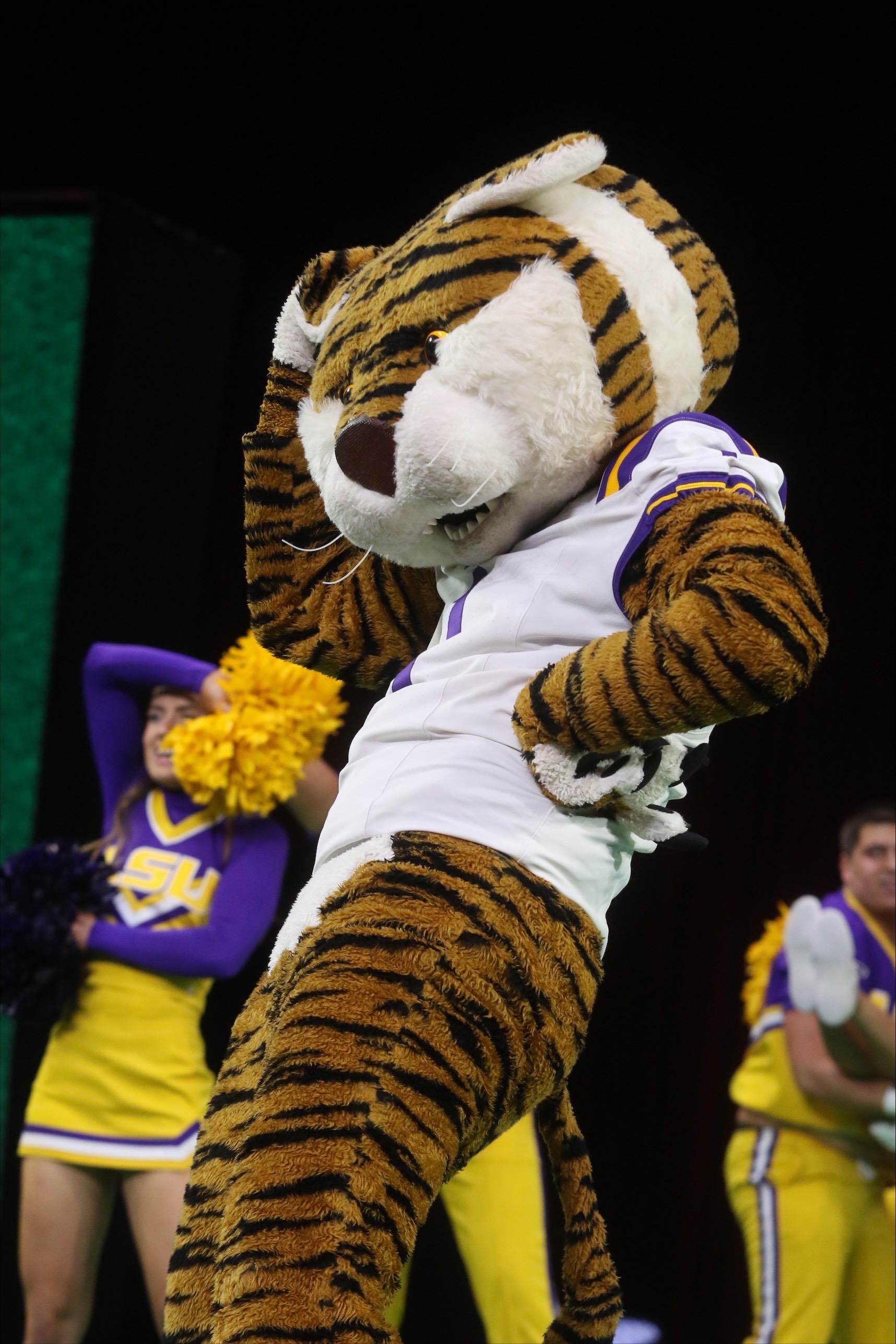 Mike the Tiger performs during a collegiate cheer and mascot competition appearance.
