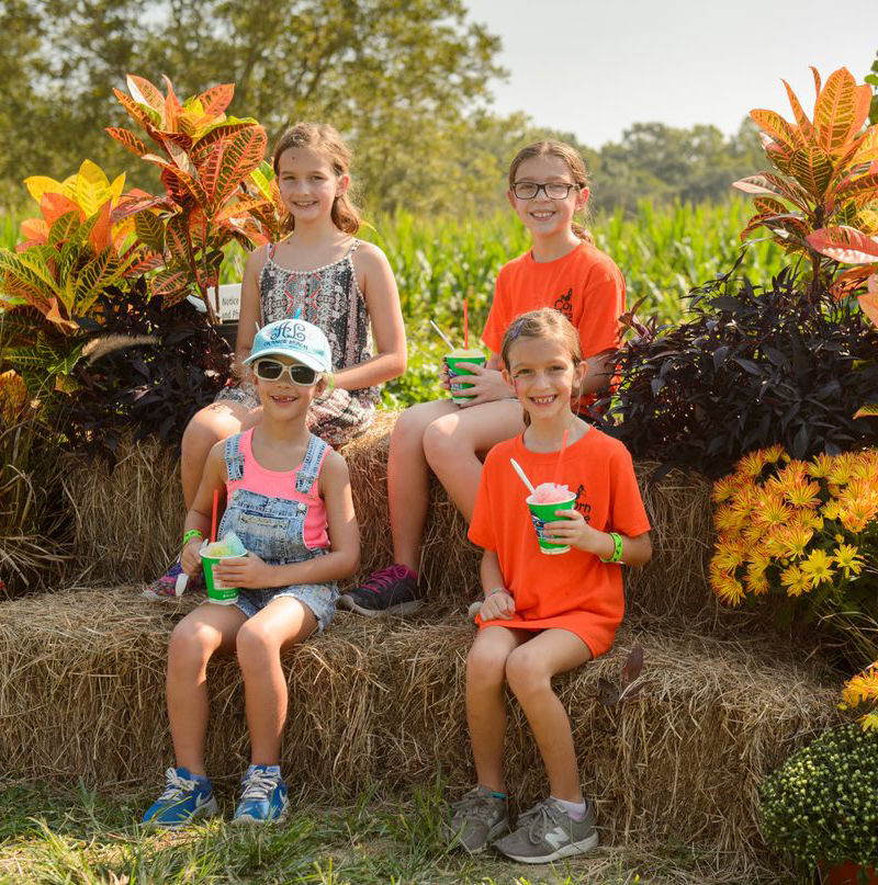 children sitting on hay bales at corn maze.