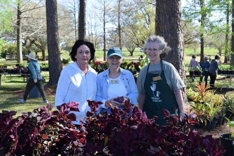 master gardeners at sale