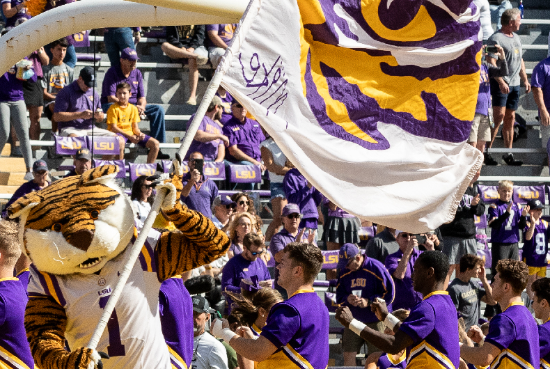 mike the tiger on the field with a tiger eye flag