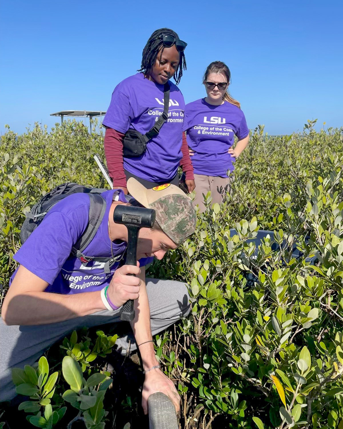 three students stand among black mangroves