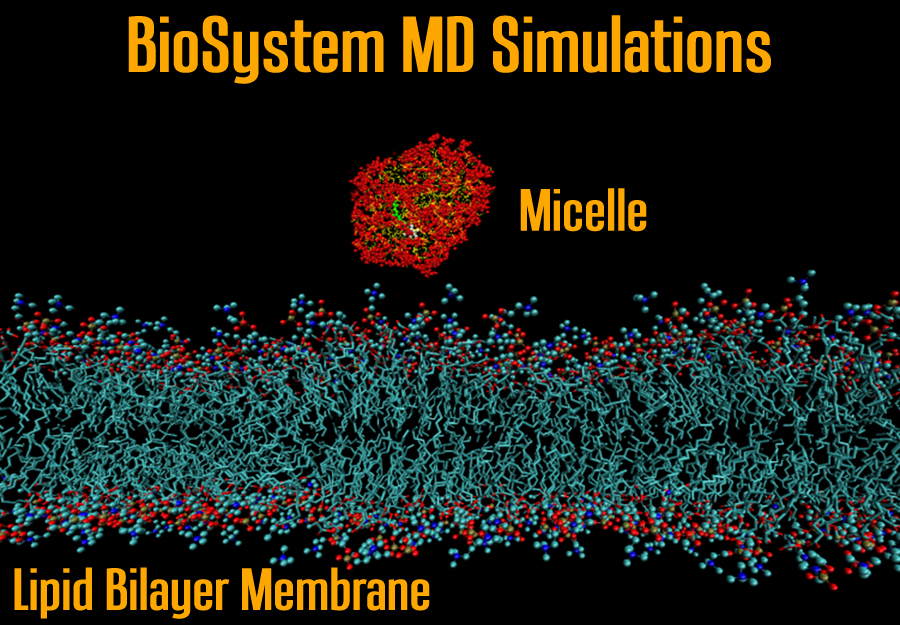 MD drug delivery simulations