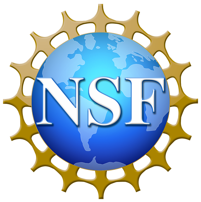 NSF logo