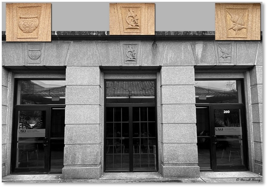 gray stone entry way with brown toned rock detialed engravings above each of the three entries of Howe Russell Kniffen on the west side