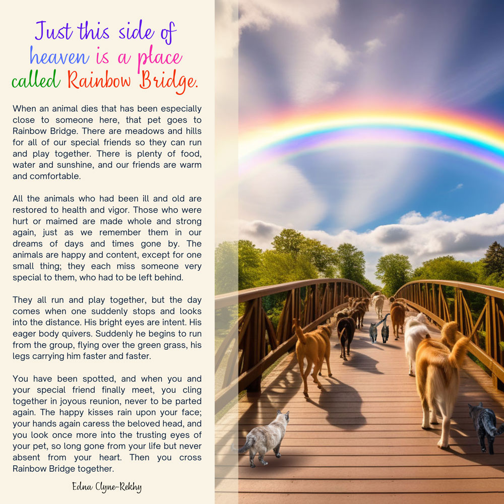 rainbow bridge poem