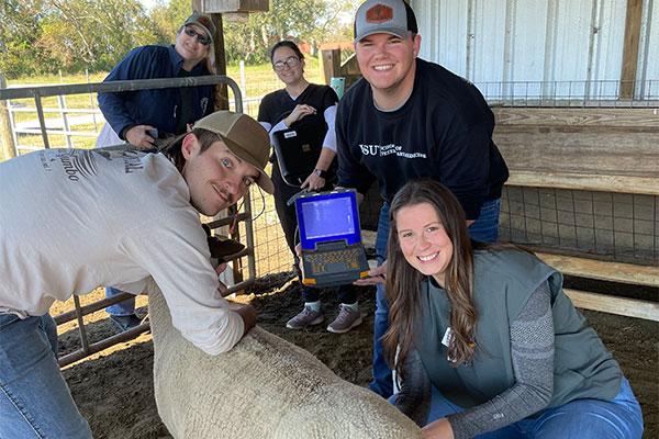 students in barn with sheep